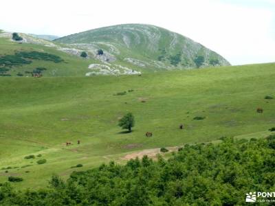 Aralar y Valle de Arakil -atención exclusiva al senderista senderismo personalizado fin de semana ro